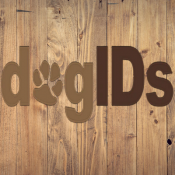 dogids-dog-supplies