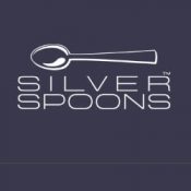 wholesale-party-supplies-silver-spoon
